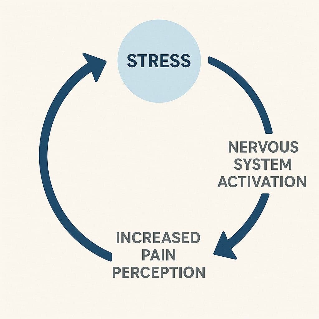 Stress-Pain Feedback Loop Diagram
