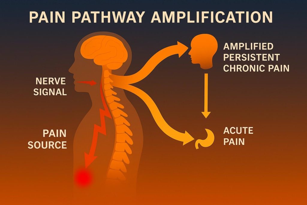 pain pathway amplification