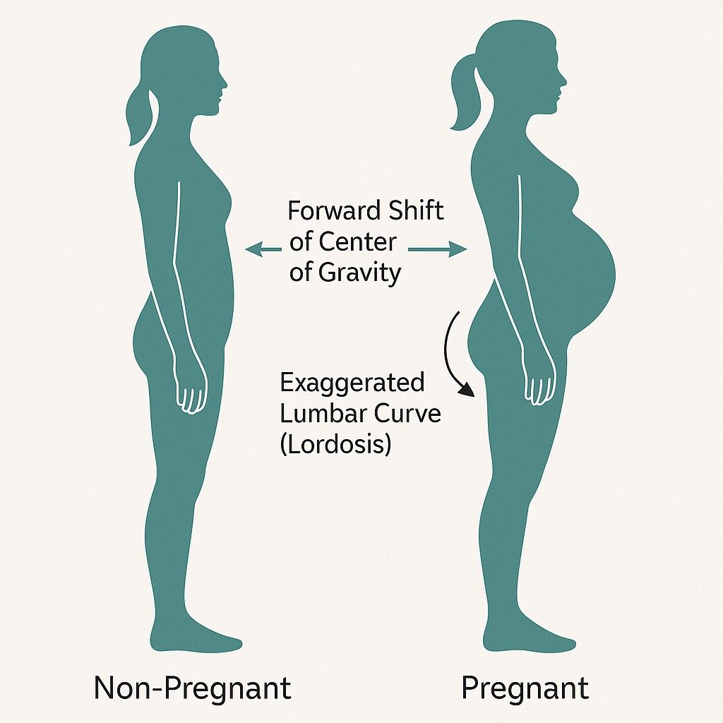 Postural Changes During Pregnancy