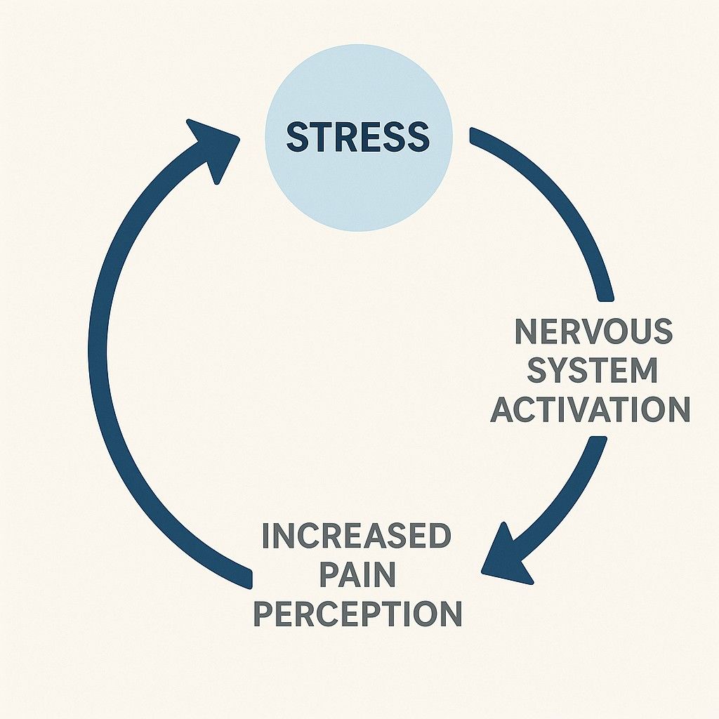 Stress-Pain Feedback Loop Diagram